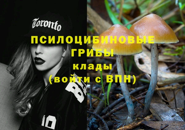 дмт Нефтегорск