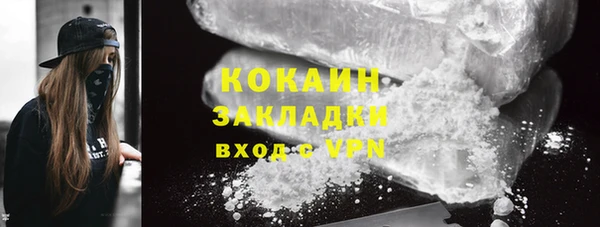 прущие грибы Дрезна