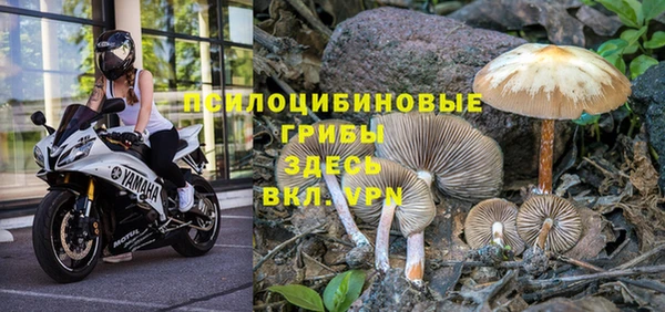 марки nbome Нефтекумск