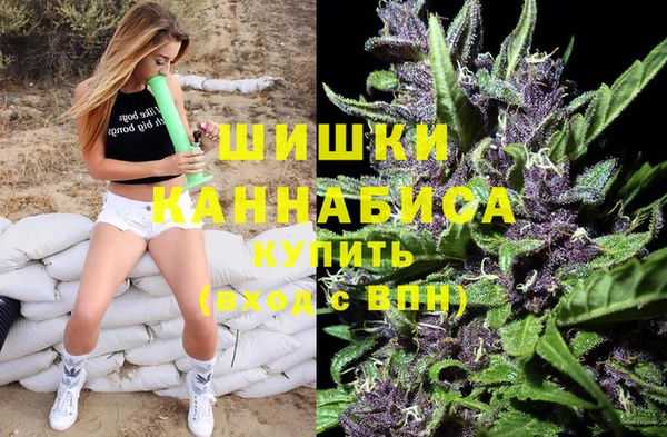 прущая мука Вяземский